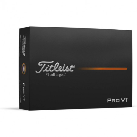 Titleist Pro V1 Golfbolde